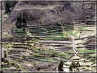 foto Canyon del Colca